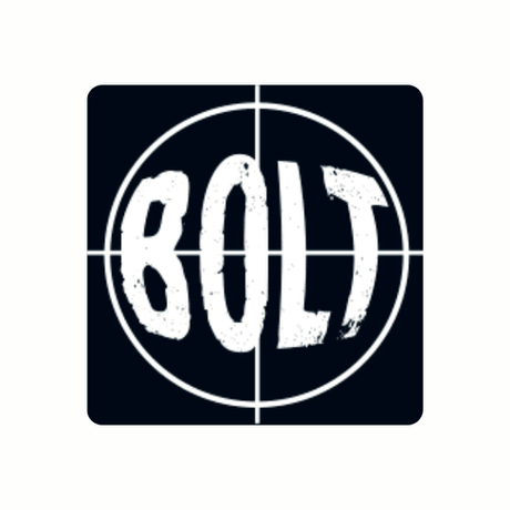 Spielsystem: Bolt Action
