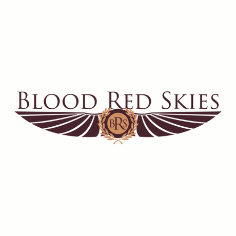 Spielsystem: Blood Red Skies