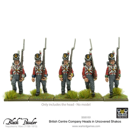 25x Napoleonic British Centre Company Heads in Uncovered Shakos