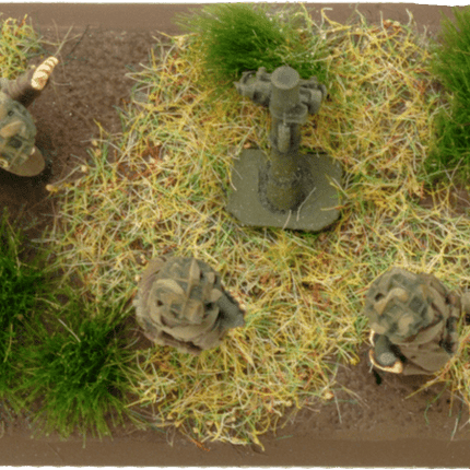 3-inch Mortar Platoon