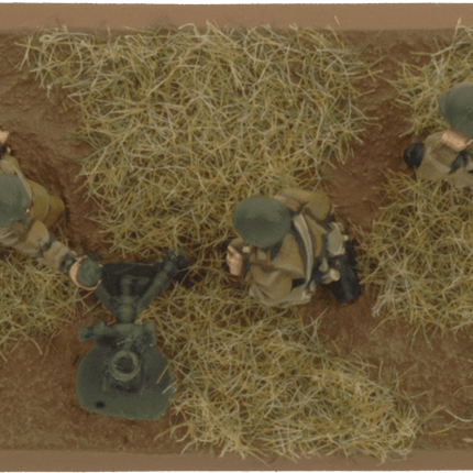 82mm and 120mm Mortar Company