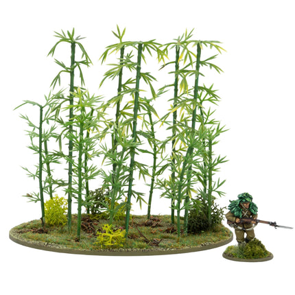 Japanese Bamboo Bushes