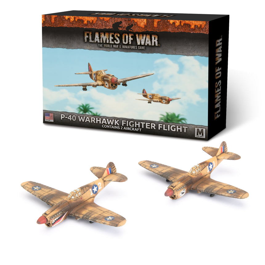 P-40 Warhawk Fighter Flight