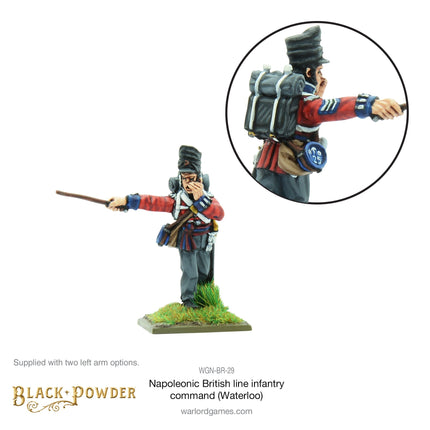Napoleonic British Line Infantry Command (Waterloo Campaign)