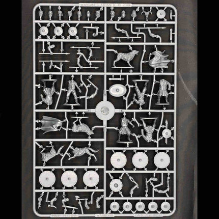 Dark Age Irish Warriors