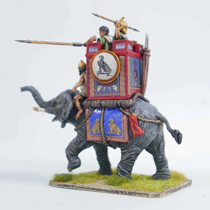 African War Elephant - Kavallerie - Victrix - VXA029