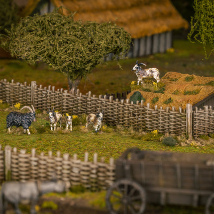 Wattle Fences - Victrix - VXE012 (3)