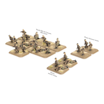 Assault Pioneer Platoon