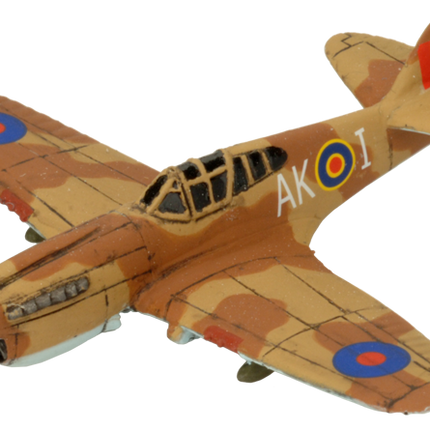 Kittyhawk Fighter-Bomber Flight