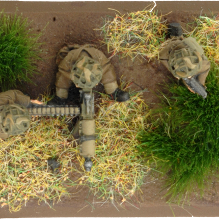 Vickers MMG Platoon