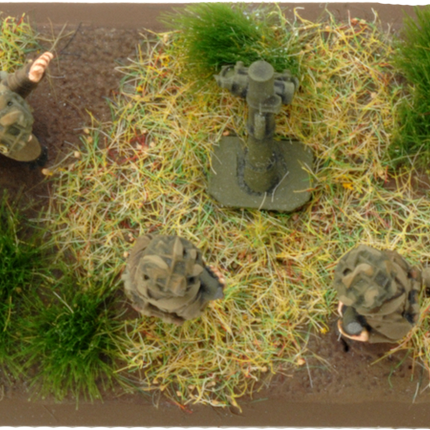 3-inch Mortar Platoon