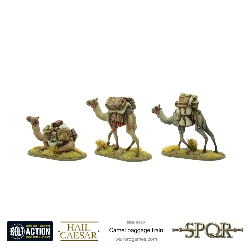 Camel baggage train - Zubehör - Warlord Games - 993019903
