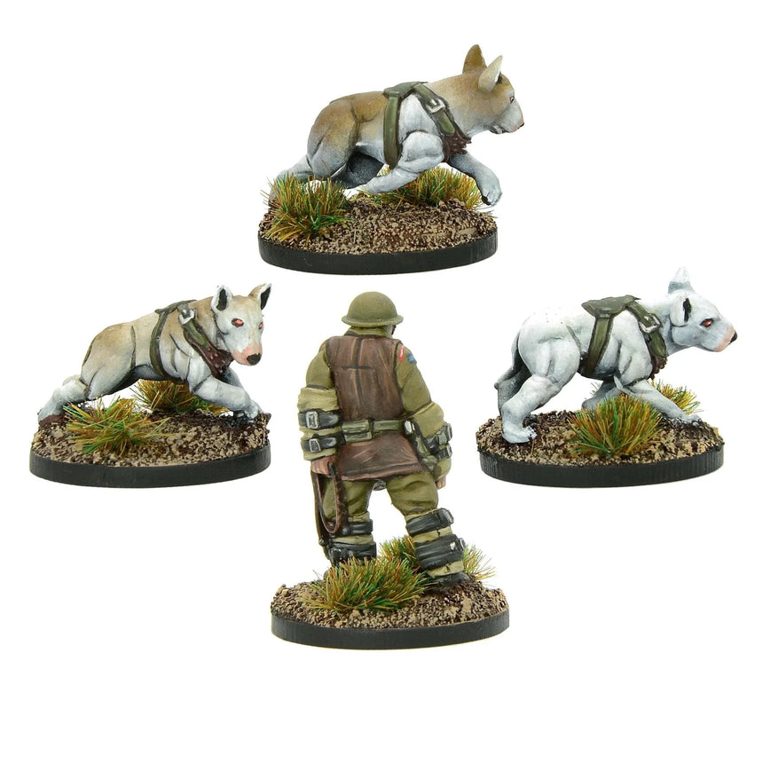 Cerbus Squad 2 - Infanterie - Warlord Games - 453010607