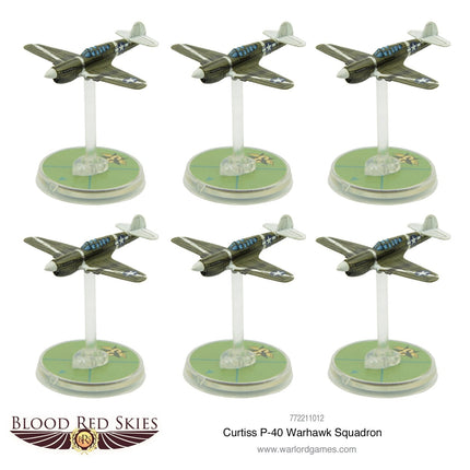 Curtiss P-40 Warhawk squadron