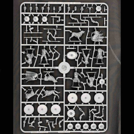 Dark Age Irish Warriors