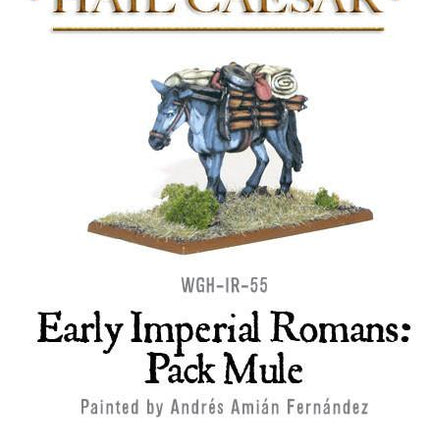 Early Imperial Romans: Pack Mule