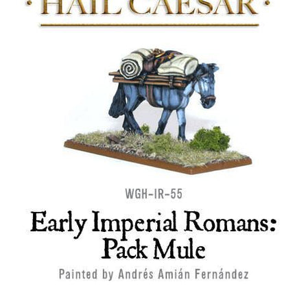 Early Imperial Romans: Pack Mule