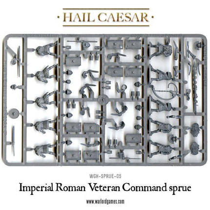 Early Imperial Romans: Veterans