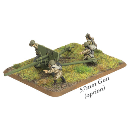 Heavy Assault Group Army Deal