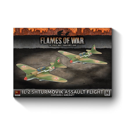 Il-2 Shturmovik Ground Attack Aircraft