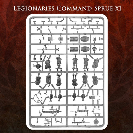 Imperial Rome Warband - Victrix - VXWB006