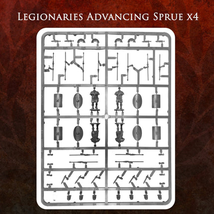 Imperial Rome Warband - Victrix - VXWB006