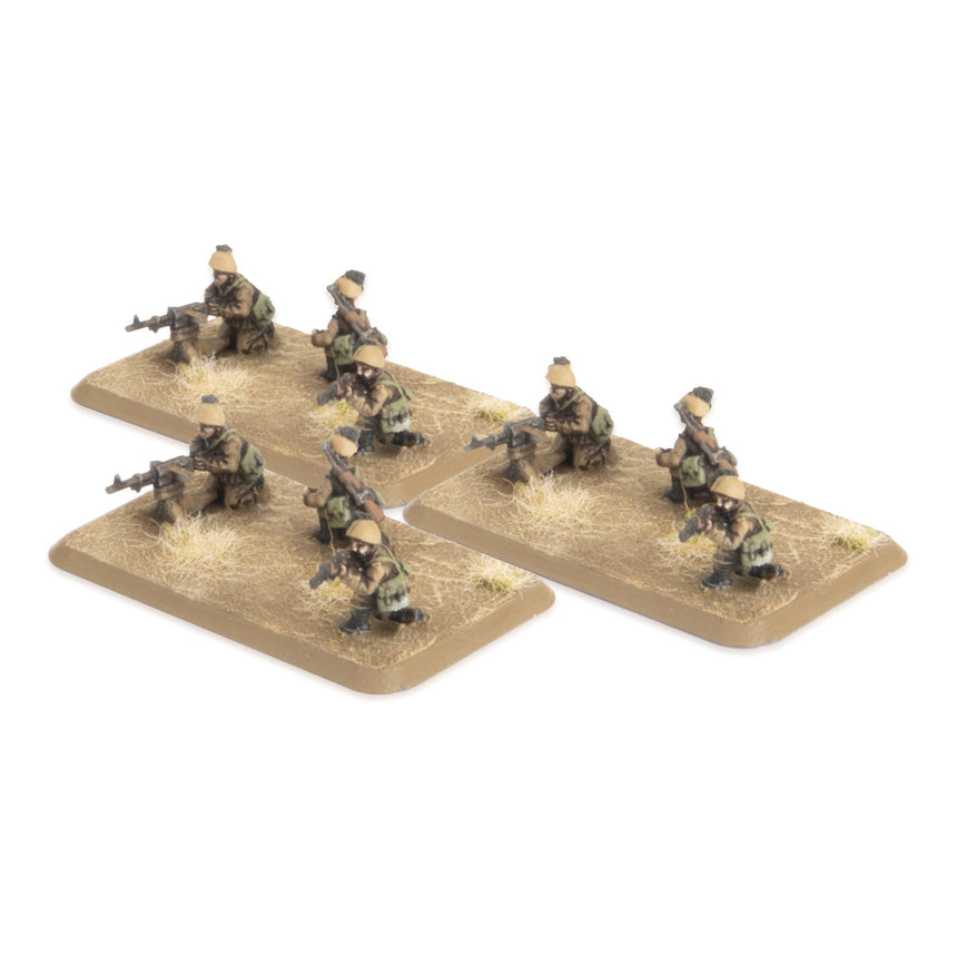 Bersaglieri MG and Mortar Platoon