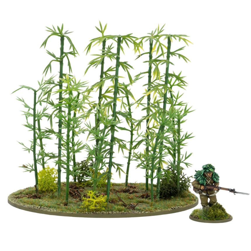 Japanese Bamboo Bushes