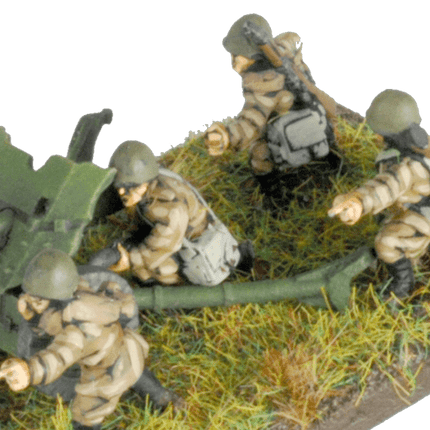 Light Tank Destroyer Company