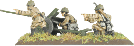 Light Tank Destroyer Company