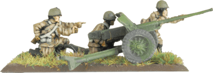 Light Tank Destroyer Company