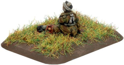 Lt. Col. Frost & Para Commanders