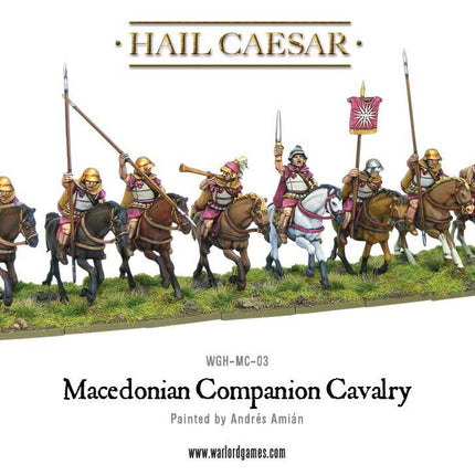 Macedonian Companion Cavalry boxed set
