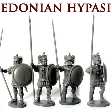 Macedonian Hypaspists - Infanterie - Victrix - VXA021