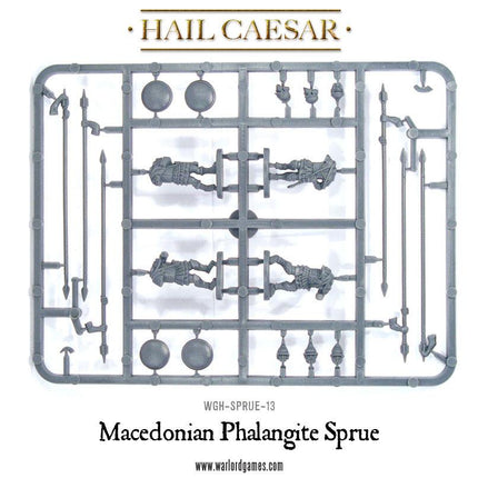 Macedonian Phalangite Sprue