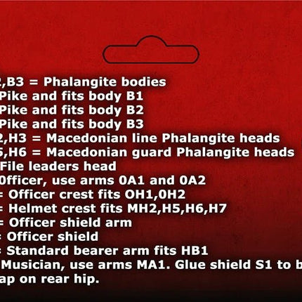 Macedonian Phalangites - Infanterie - Victrix - VXA019