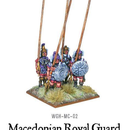 Macedonians: Royal Guard plastic boxed set