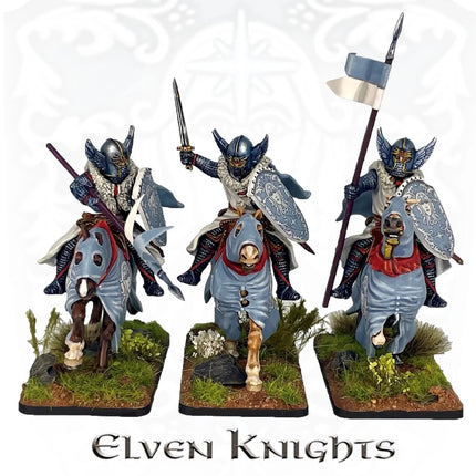 Medieval & Fantasy Heads, Cloaks & Shields - Zubehör - Victrix - VXE002