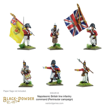 Napoleonic British Line Infantry Command (Peninsular War)