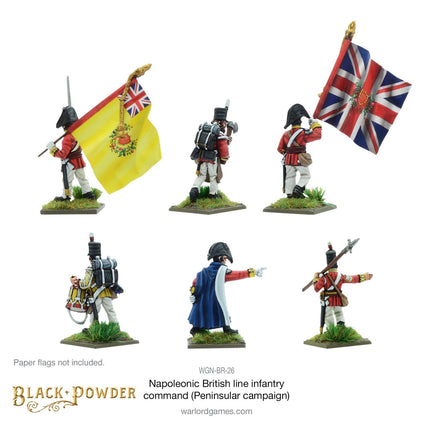 Napoleonic British Line Infantry Command (Peninsular War)