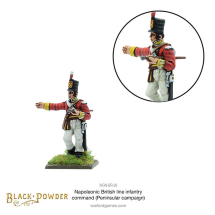 Napoleonic British Line Infantry Command (Peninsular War)