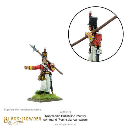 Napoleonic British Line Infantry Command (Peninsular War)