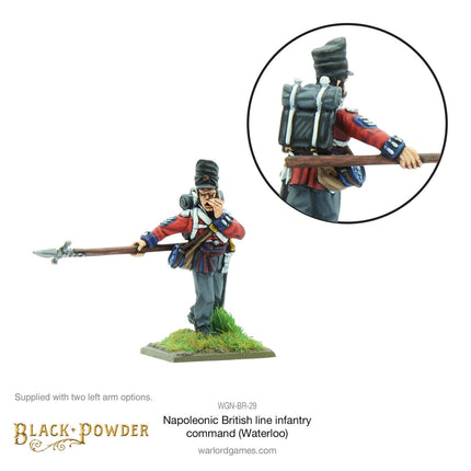 Napoleonic British Line Infantry Command (Waterloo Campaign)