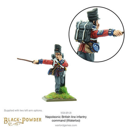 Napoleonic British Line Infantry Command (Waterloo Campaign)