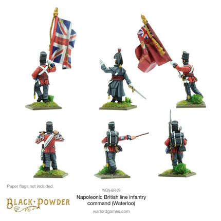 Napoleonic British Line Infantry Command (Waterloo Campaign)
