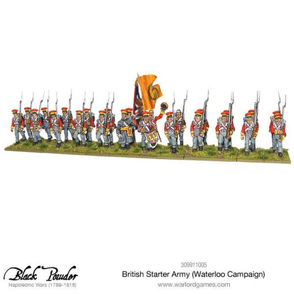 Napoleonic British Starter Army (Waterloo Campaign) - Starterarmee - Warlord Games - 309911005