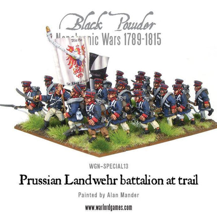 Napoleonic Prussian regiment at trail