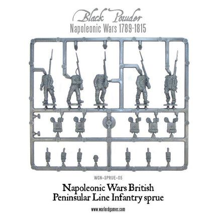 Napoleonic War British Peninsular Line Infantry Sprue