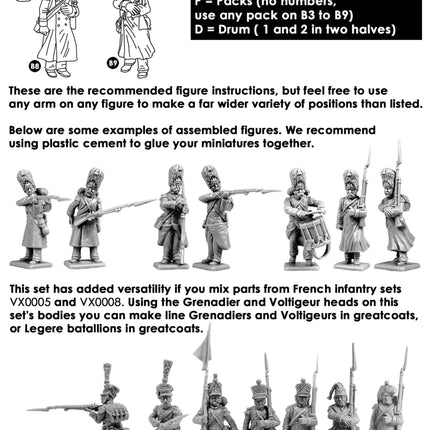 Napoleon's French Old Guard Grenadiers - Infanterie - Victrix - VX0009