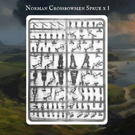 Norman Warband - Starterarmee - Victrix - 
